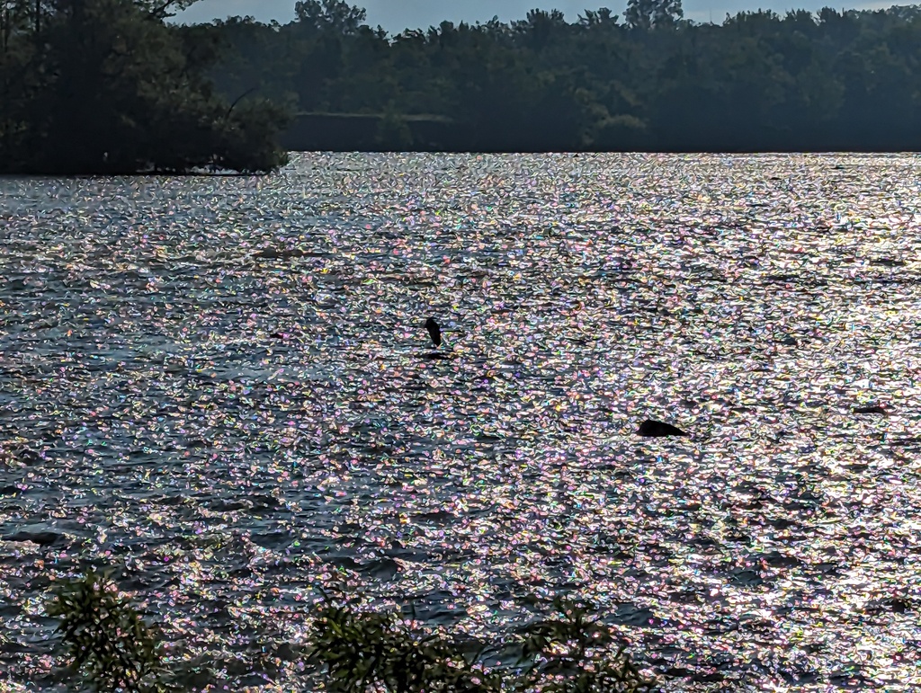 Figure 17: Richelieu River rapids at Chambly QC