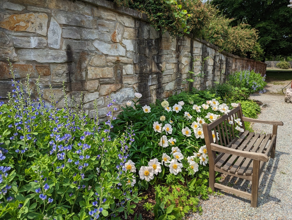 Figure 28: Garden, Shelburne Museum