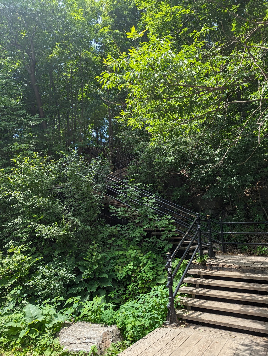 Figure 20: Grand Staircase, Mount Royal