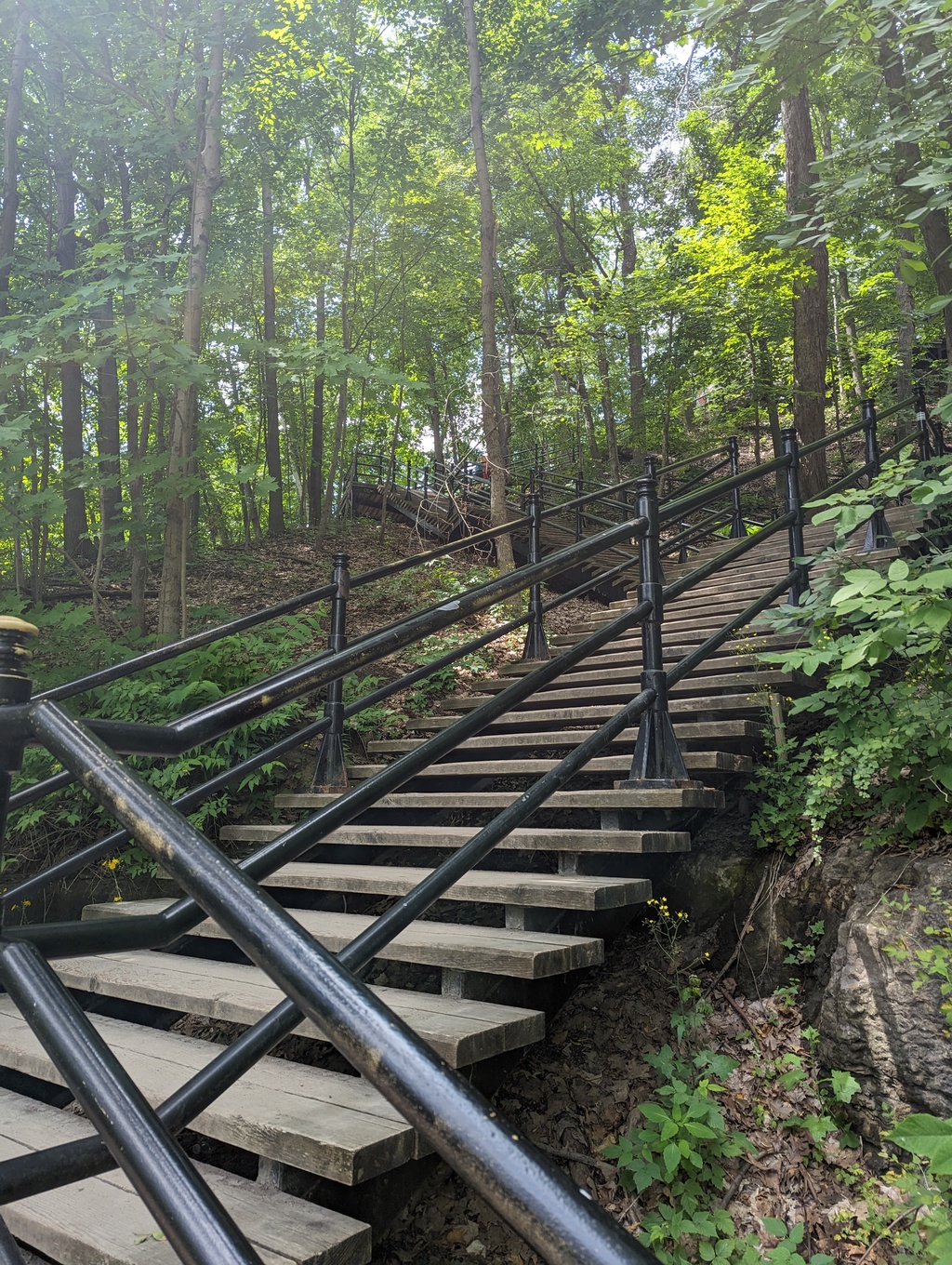 Figure 21: Grand Staircase, Mount Royal