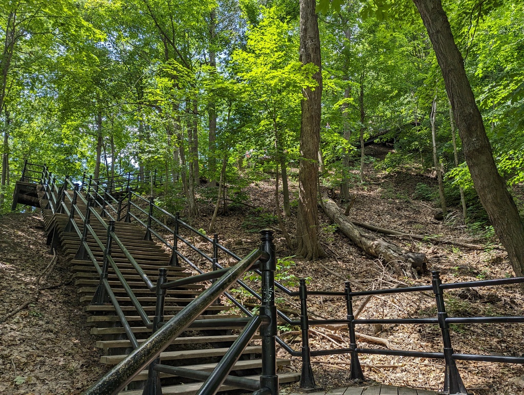 Figure 22: Grand Staircase, Mount Royal