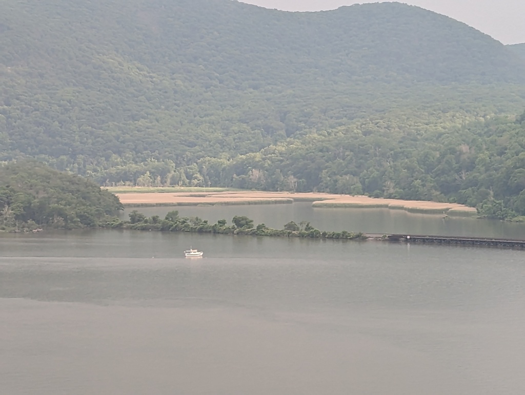Figure 7: Penguin in Doodletown Bight from Bear Mountain Bridge