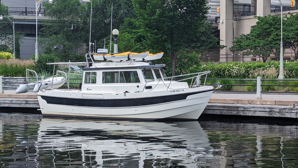 Figure 58: Penguin on the Ottawa free wall
