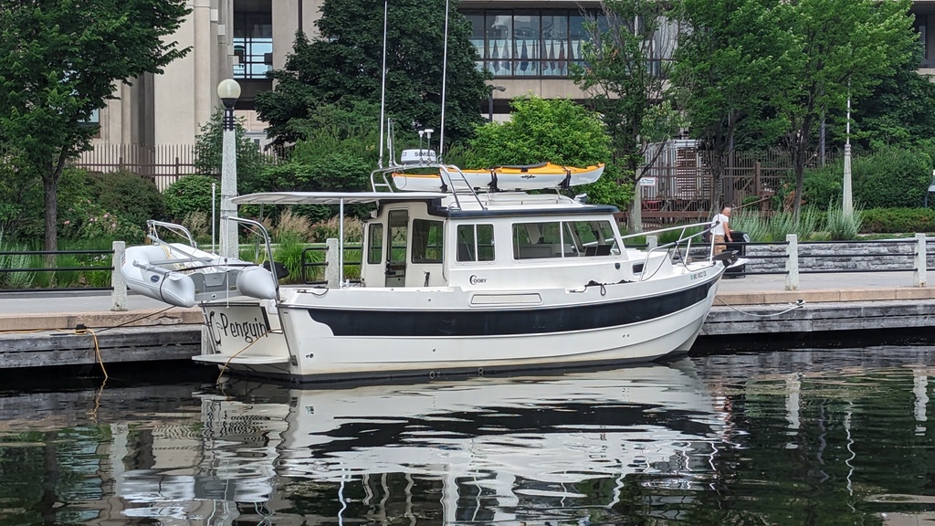 Figure 59: Penguin on the Ottawa free wall