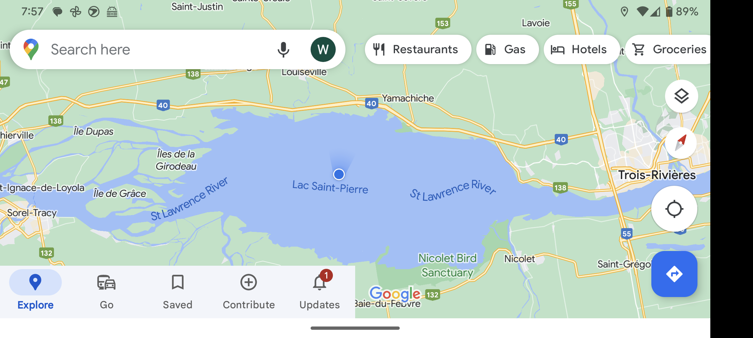 Figure 43: Penguin on Lac Saint Pierre between Sorrel and Trois-Rivières